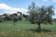 Masseria abbandonata - Urbex Sicily-16